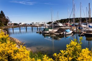 Fall Getaway at our Bainbridge Island Bed and Breakfast