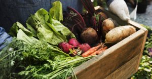 Farmers Market on Bainbridge Island