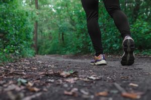 hiking trails on Bainbridge Island