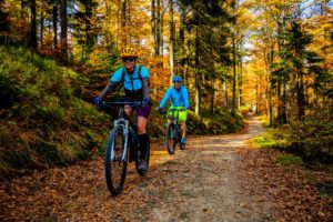 Biking Around Bainbridge Island