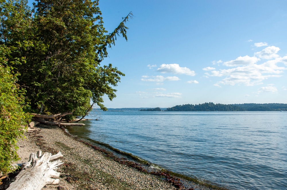 Things to do on Bainbridge Island, photo of a rocky beach with trees and bright blue water